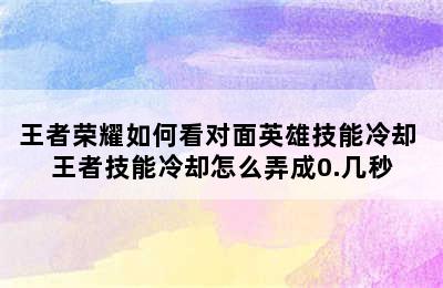 王者荣耀如何看对面英雄技能冷却 王者技能冷却怎么弄成0.几秒